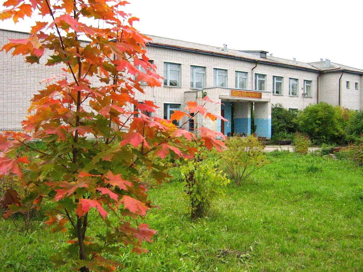 Центральный вход школы